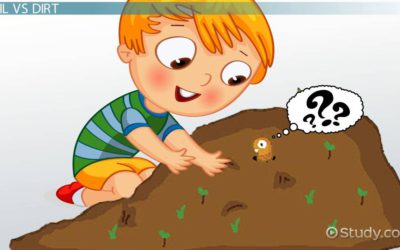 “What is Healthy Soil?” presentation by Brigham Joy