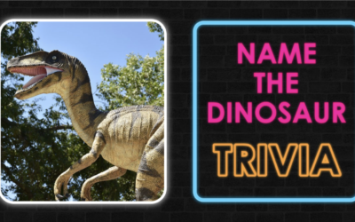 7/1 @ 10 AM Ages 11-18 Summer Program: DINO-TRIVIA